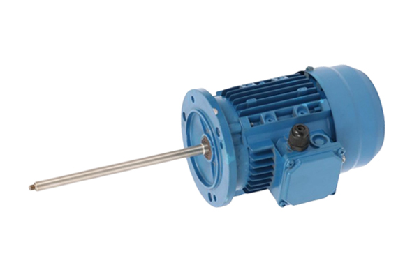 化工泵專(zhuān)用電機(jī)